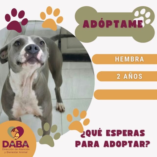 6aa189664be47__6aa189664be48