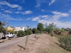 Dan nueva vida a cuatro parques de Jardines del Lago
