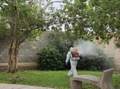 Continua dirección de Ecología nebulizando diversos sectores de la ciudad