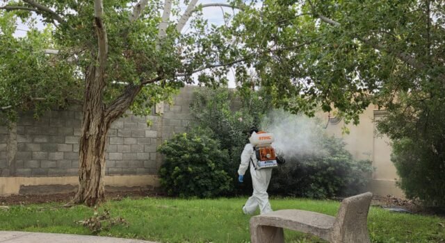 Continua dirección de Ecología nebulizando diversos sectores de la ciudad