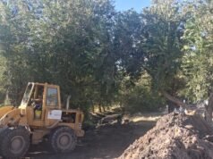 Refuerza Municipio trabajos preventivos en panteones