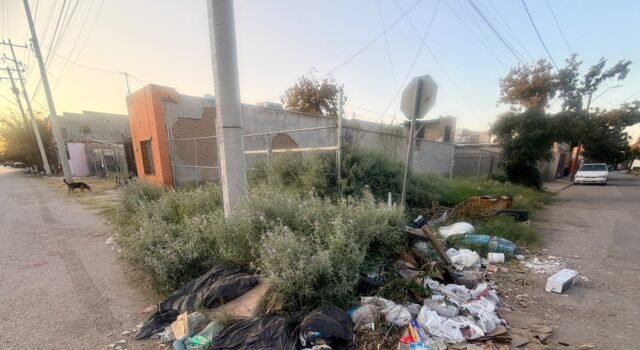 Exhorta Municipio a mantener limpios predios y banquetas