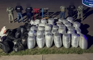 Asegura FGE casi una tonelada de marihuana en la comunidad Santa Rosa – municipio de Parral