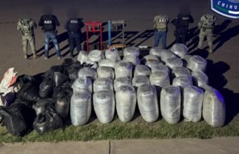 Asegura FGE casi una tonelada de marihuana en la comunidad Santa Rosa – municipio de Parral