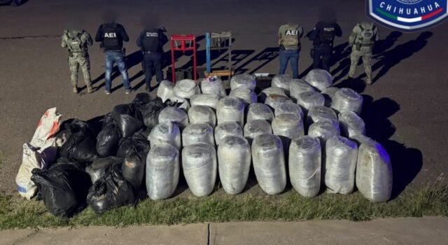 Asegura FGE casi una tonelada de marihuana en la comunidad Santa Rosa – municipio de Parral
