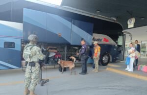 Realizan recorridos preventivos en la Central de Autobuses con apoyo de perros policía