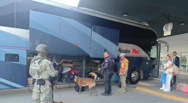 Realizan recorridos preventivos en la Central de Autobuses con apoyo de perros policía