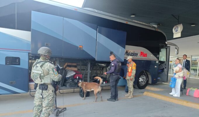 Realizan recorridos preventivos en la Central de Autobuses con apoyo de perros policía