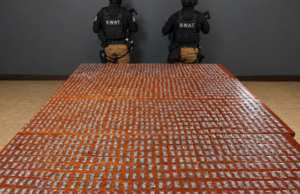 Asegura SSPE más de mil 700 envoltorios con presunta droga cristal en Punta Oriente tras operativo ordenado por Gilberto Loya