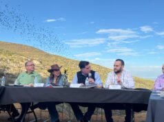 Conmemora Congreso de Chihuahua el Día de la Protección al Murciélago